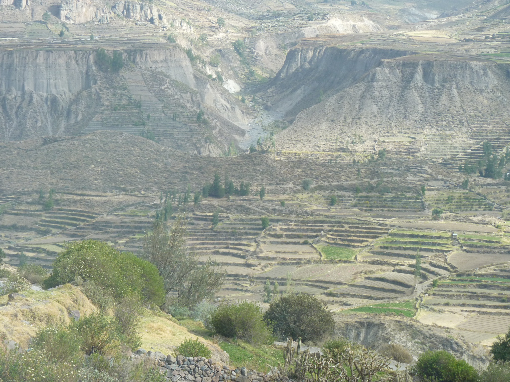 P1010331.JPG