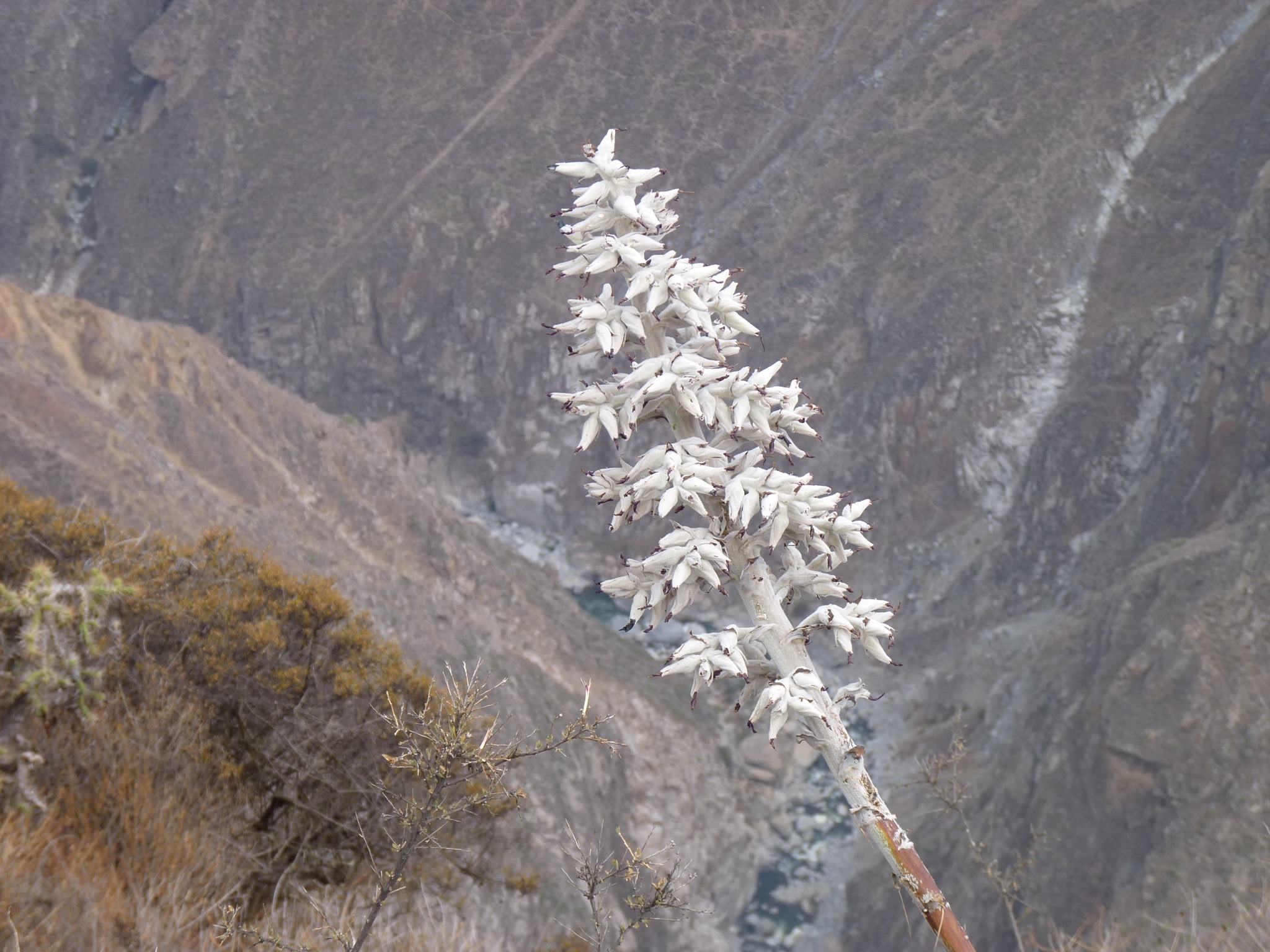 P1010347.JPG