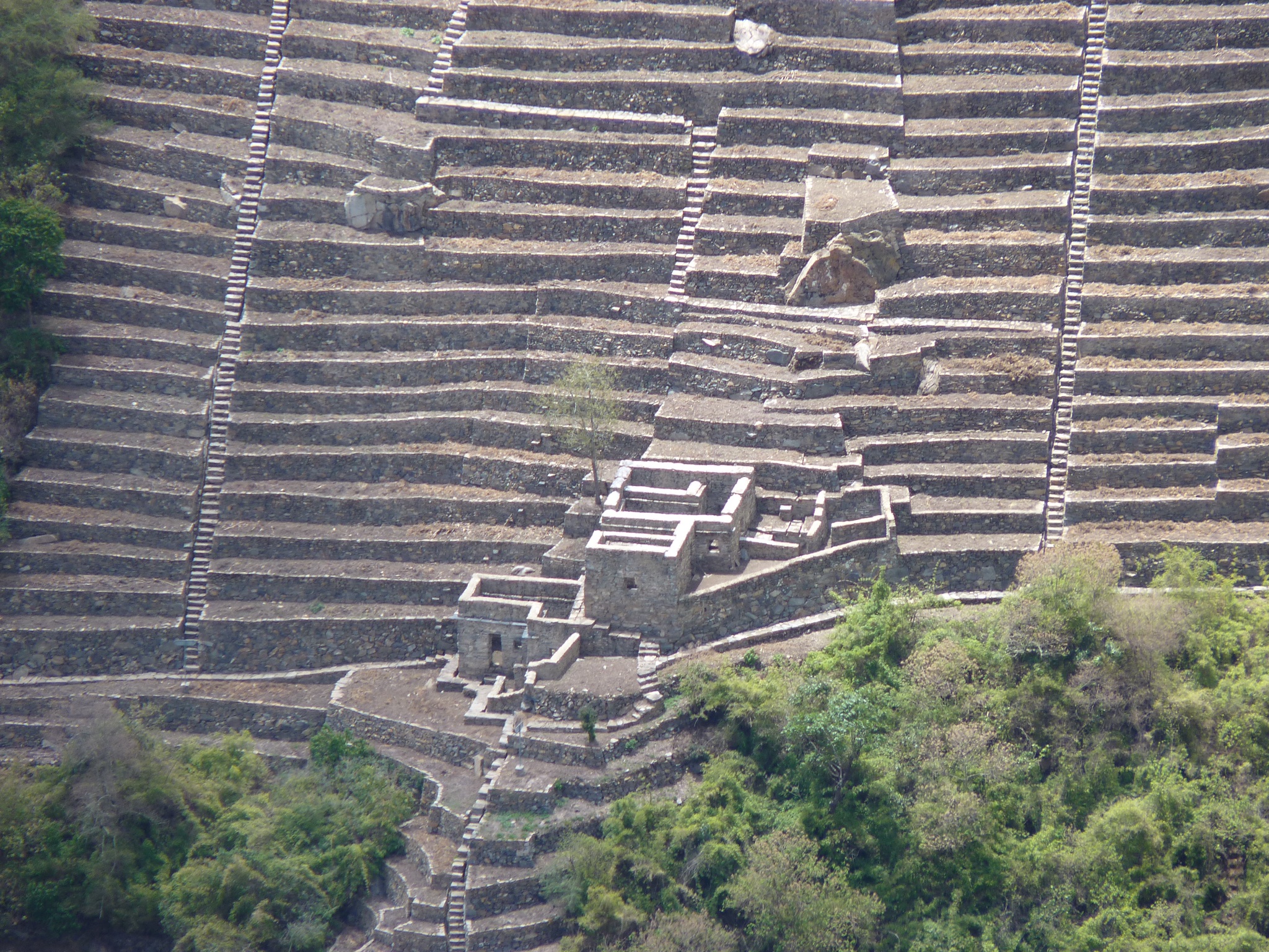 P1010453.JPG