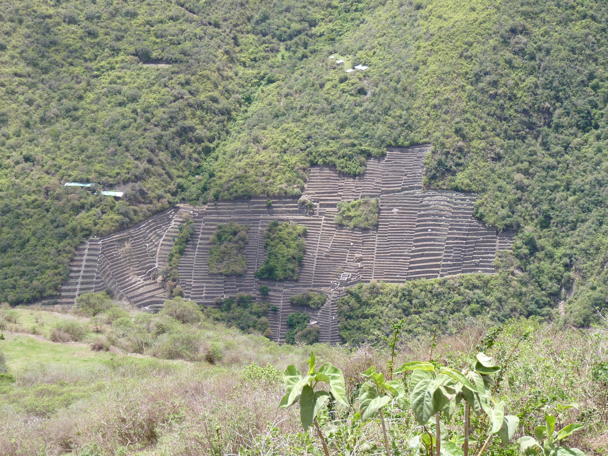 P1010454.JPG