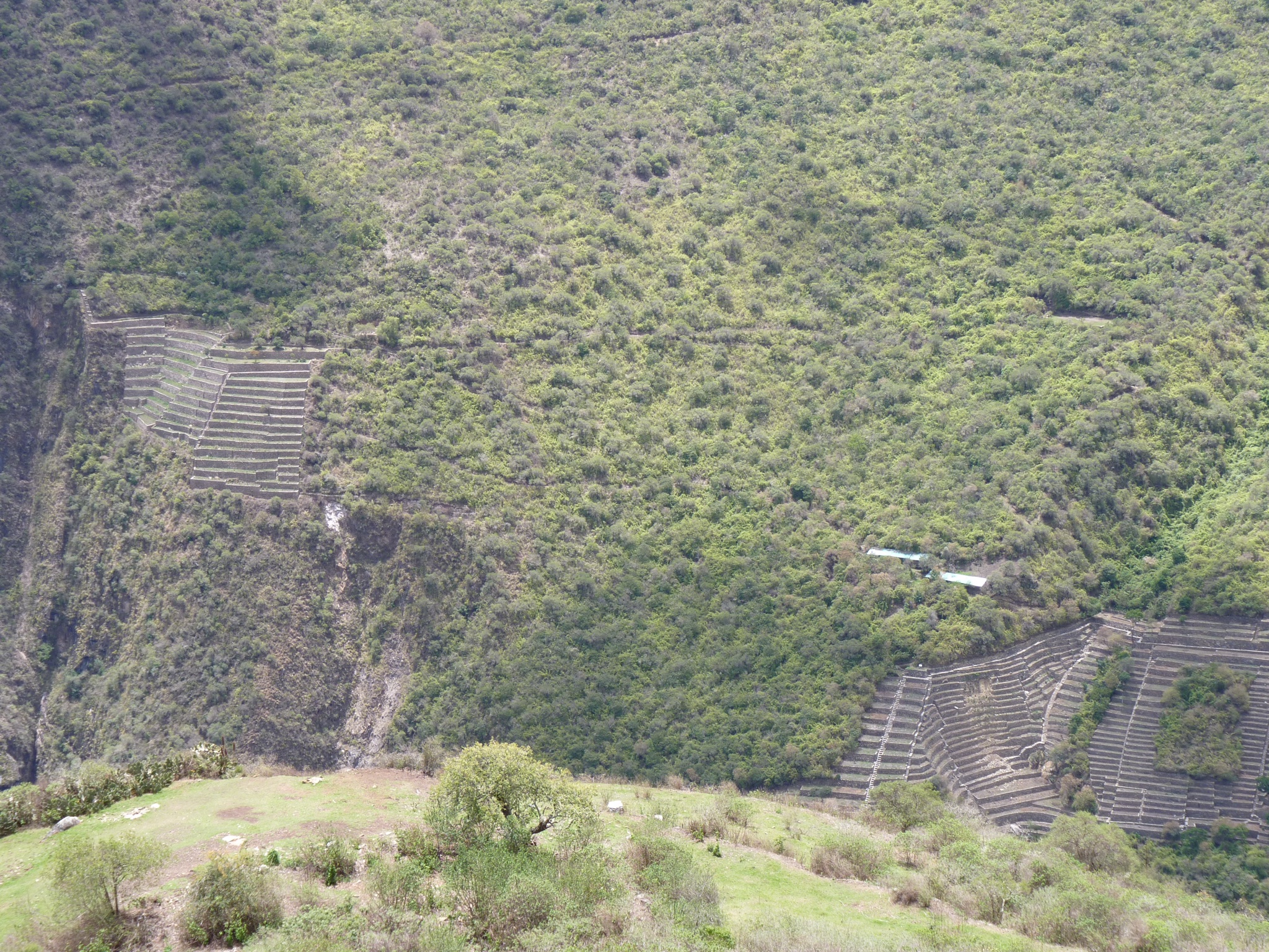 P1010455.JPG