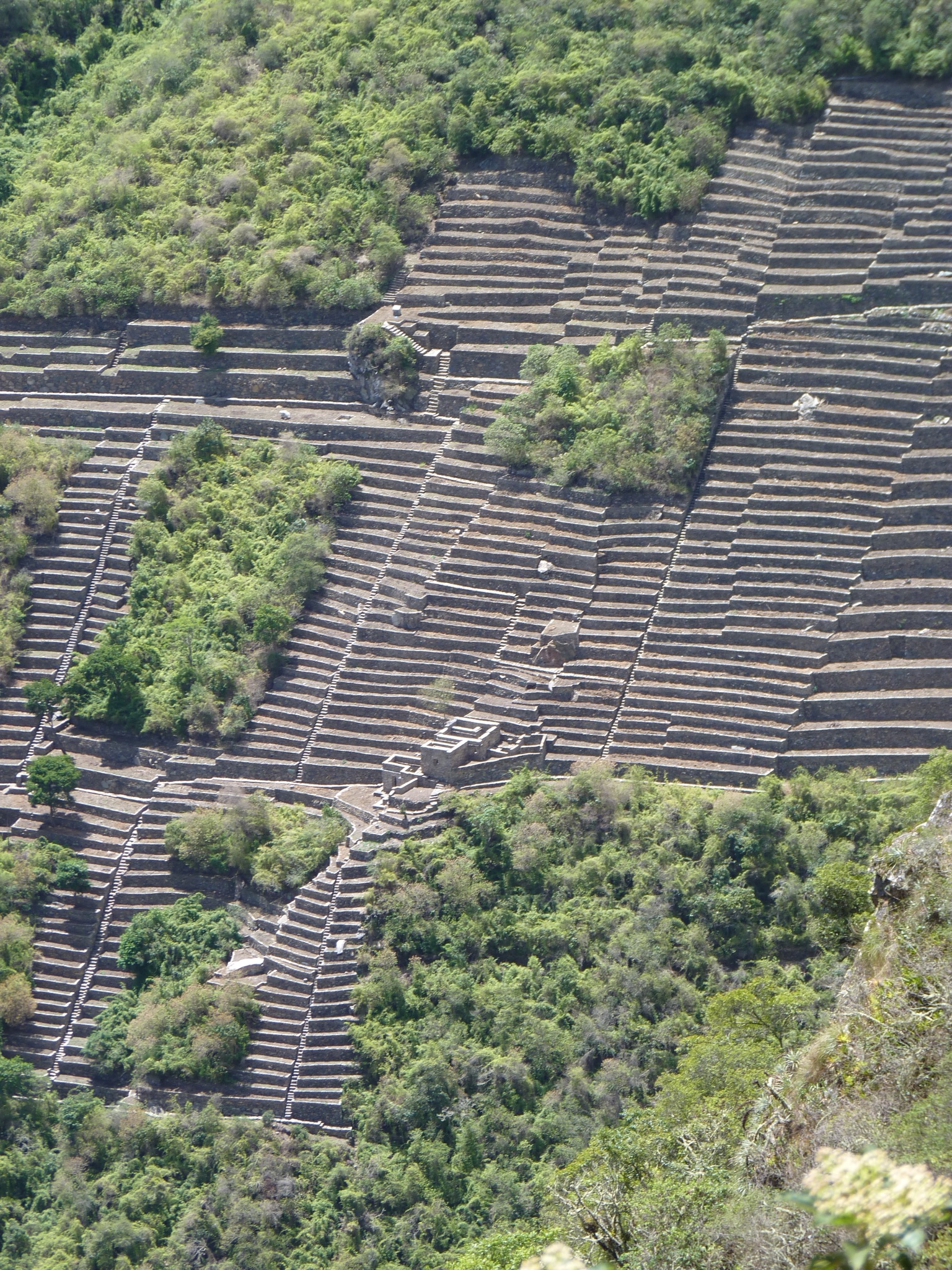 P1010462.JPG