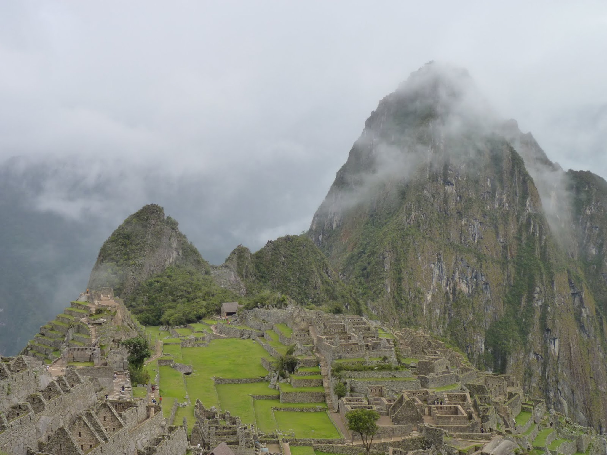 P1010559.JPG