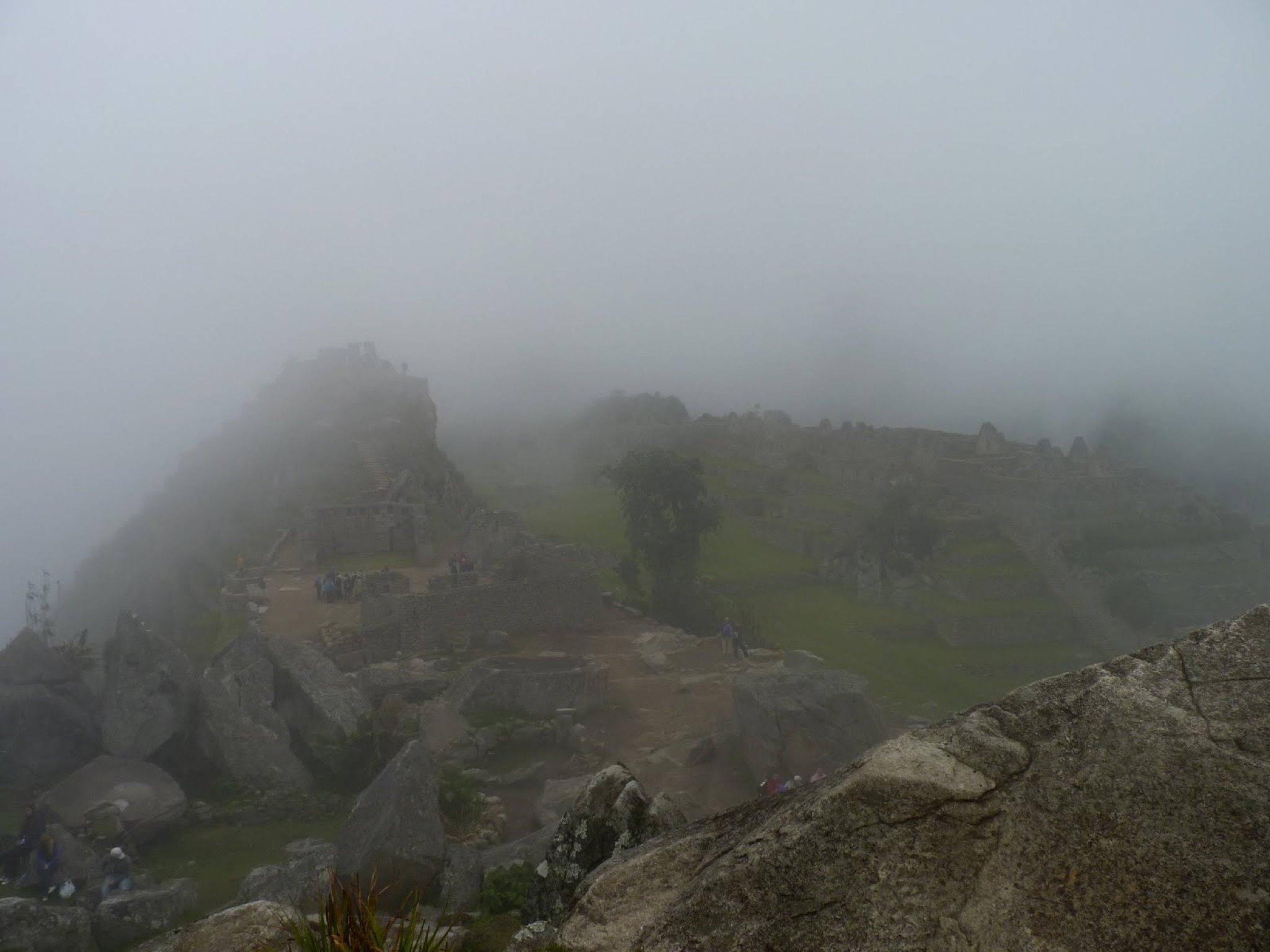 P1010599.JPG