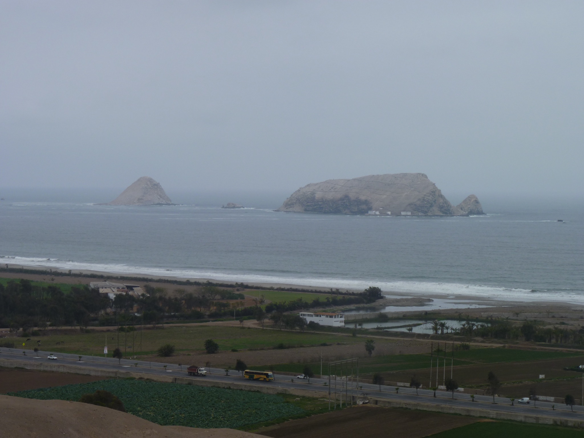 P1010002.JPG