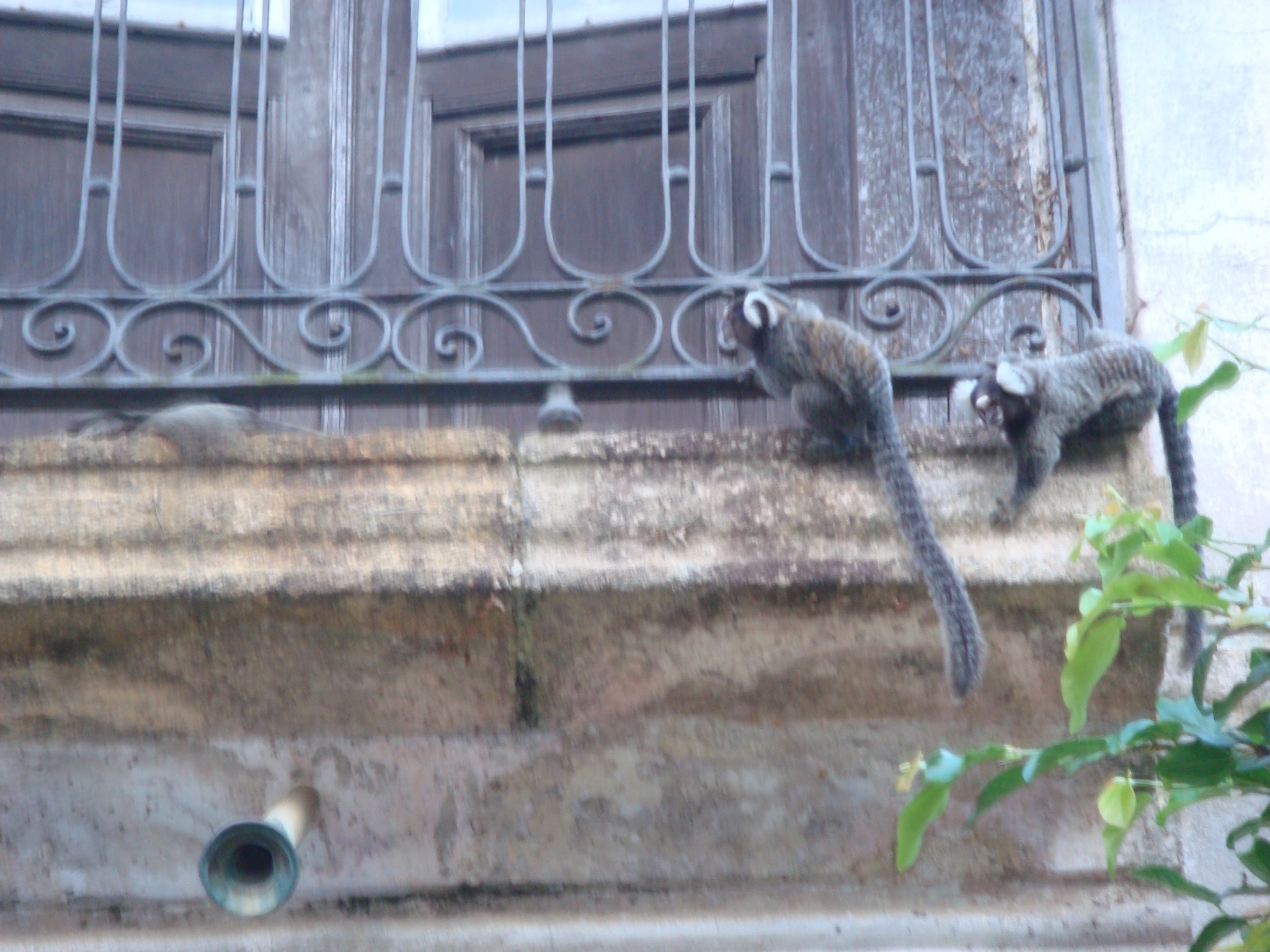 DSC04968.JPG