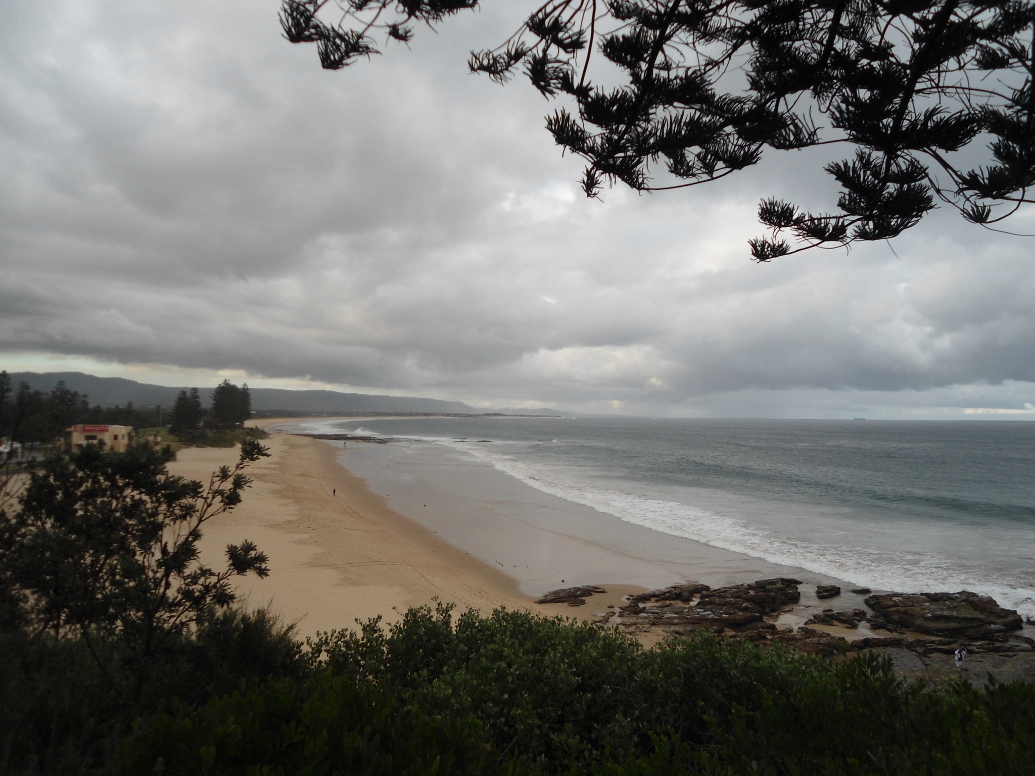 Pendant ce temps-là, Phi à Wollongong