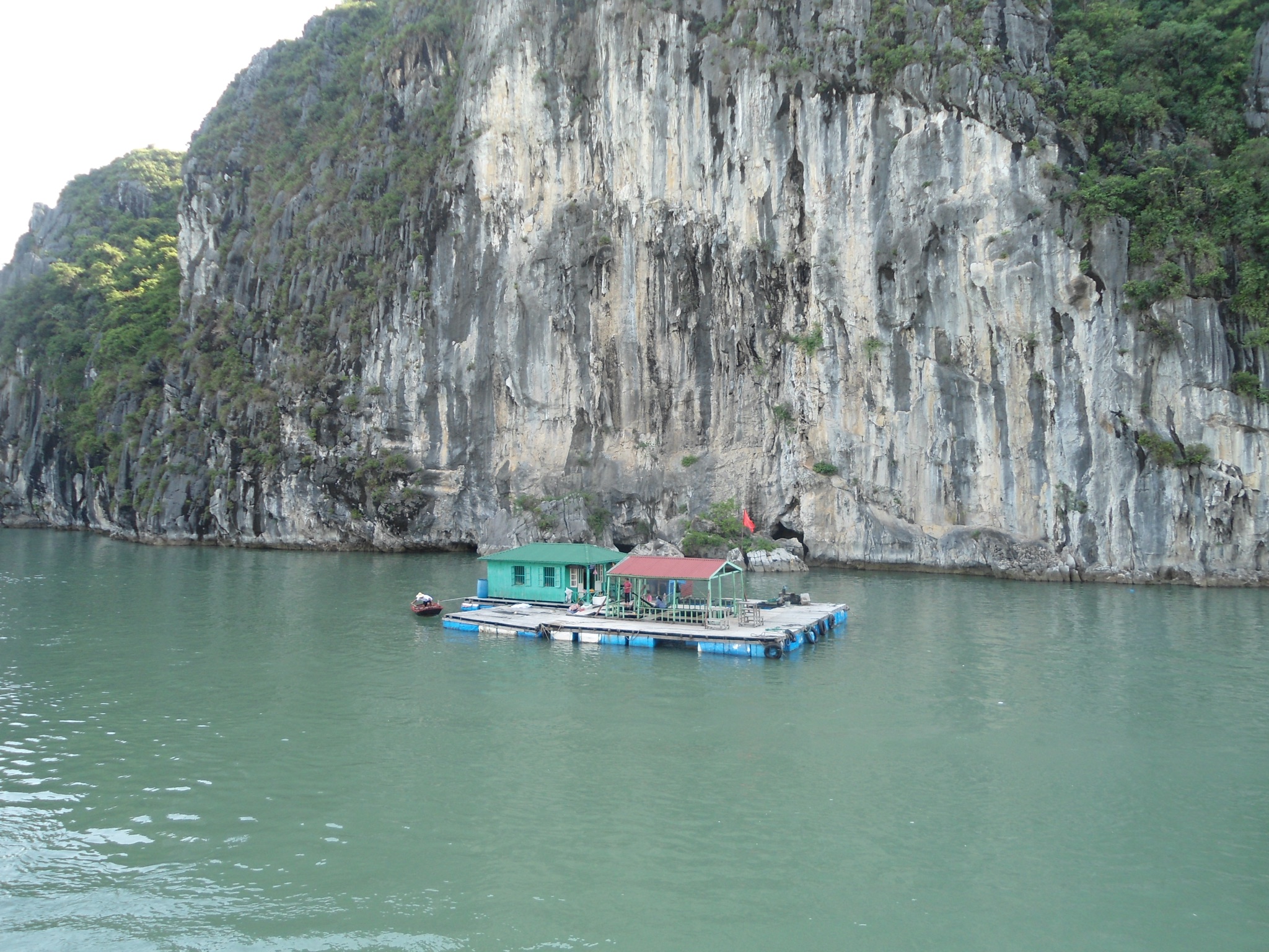 DSC00712.JPG