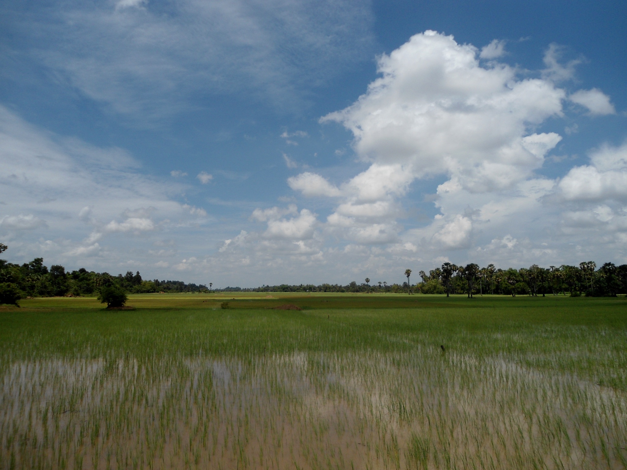 DSC00919.JPG
