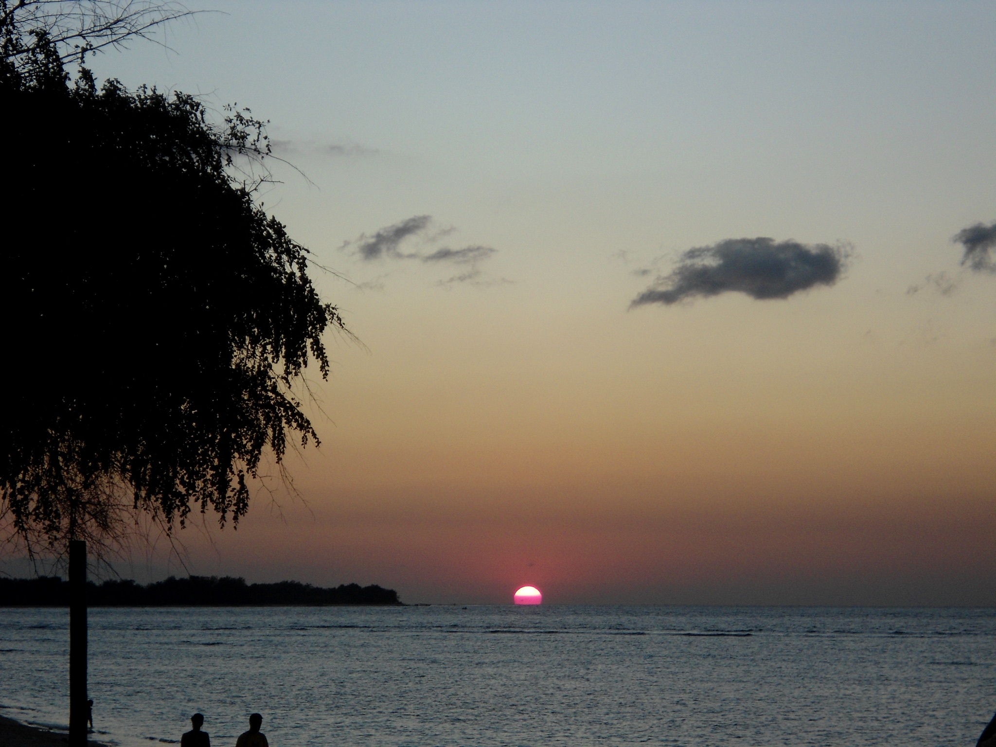 DSC00983.JPG