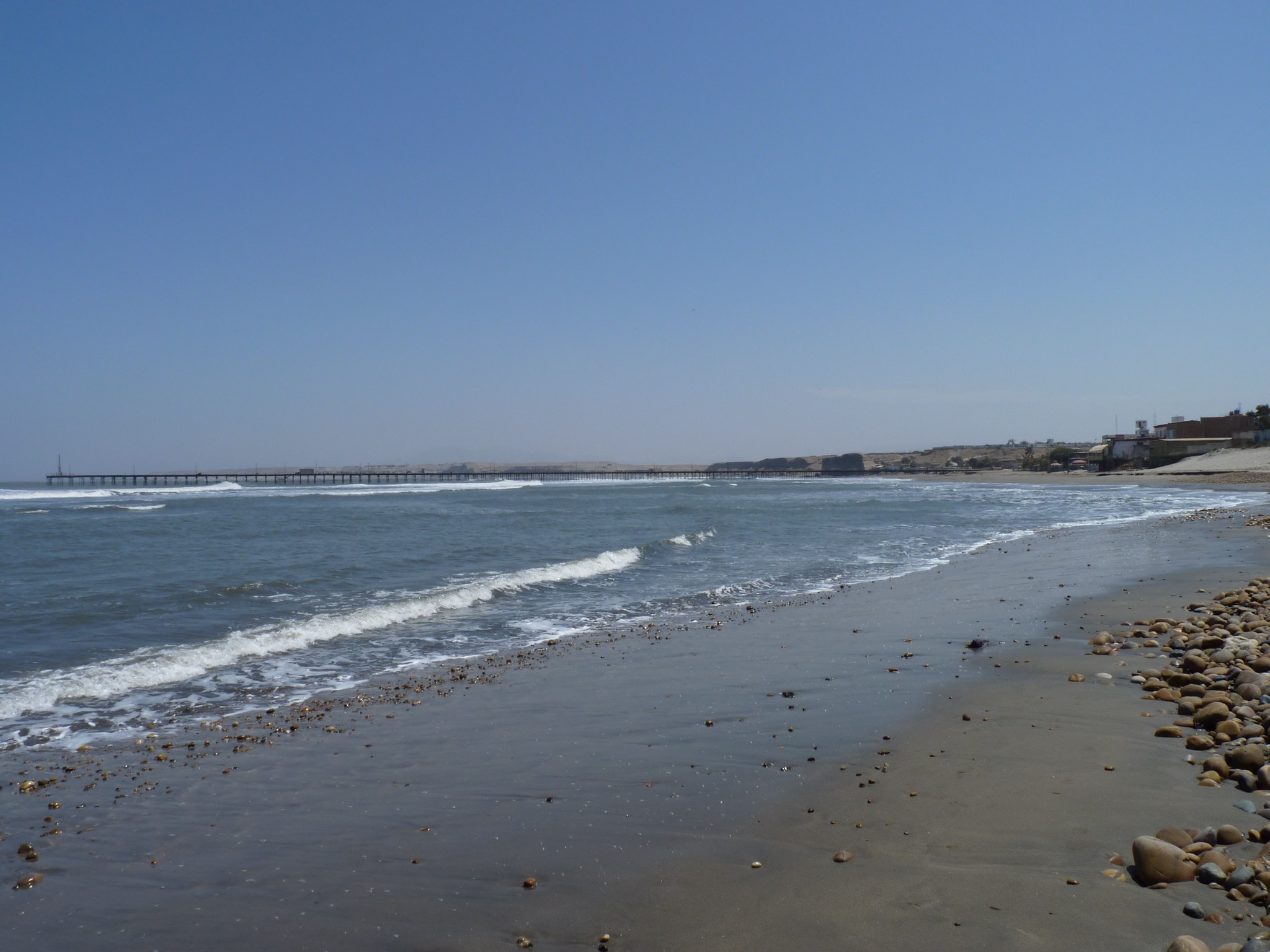 P1010149.JPG