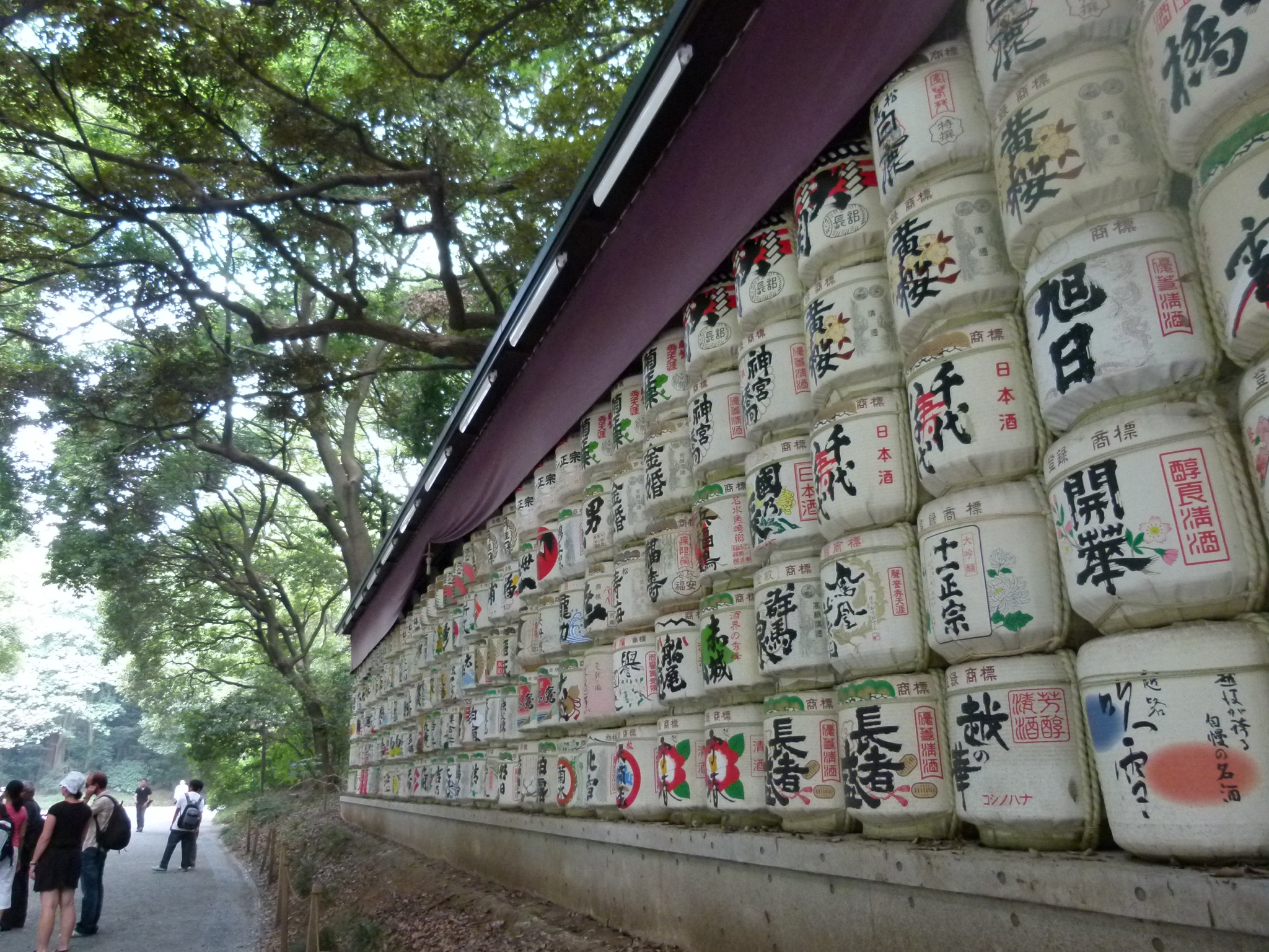 P1010120.JPG
